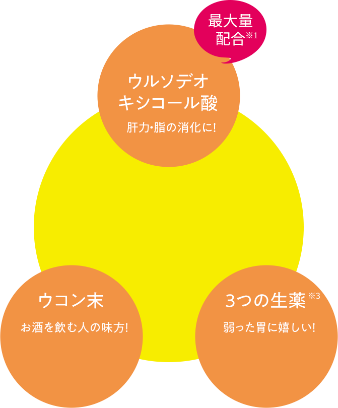 ウルソデオキシコール酸 肝力・脂の消化に！ ウコン末お酒を飲む人の味方！ 3つの生薬弱った胃に嬉しい！